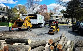 Best Lot and Land Clearing  in Wimberley, TX